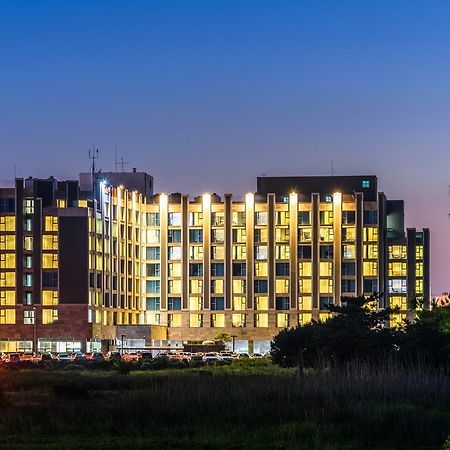 Brown Suites Hotel And Resort Jeju Bagian luar foto